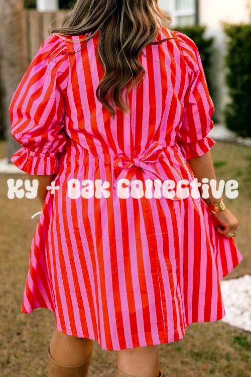 Rose Stripe Frilled Collar Button Neck Short Sleeve Mini Dress