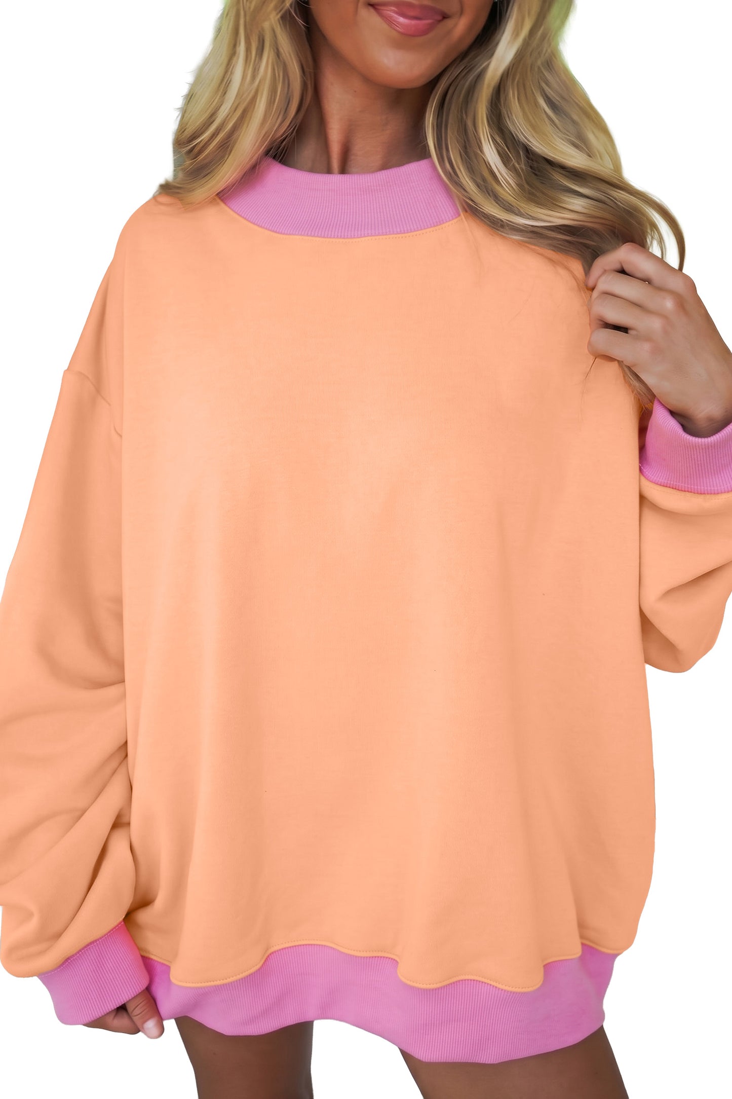 Colorblock Trim Crewneck Long Sleeve Pullover Sweatshirt