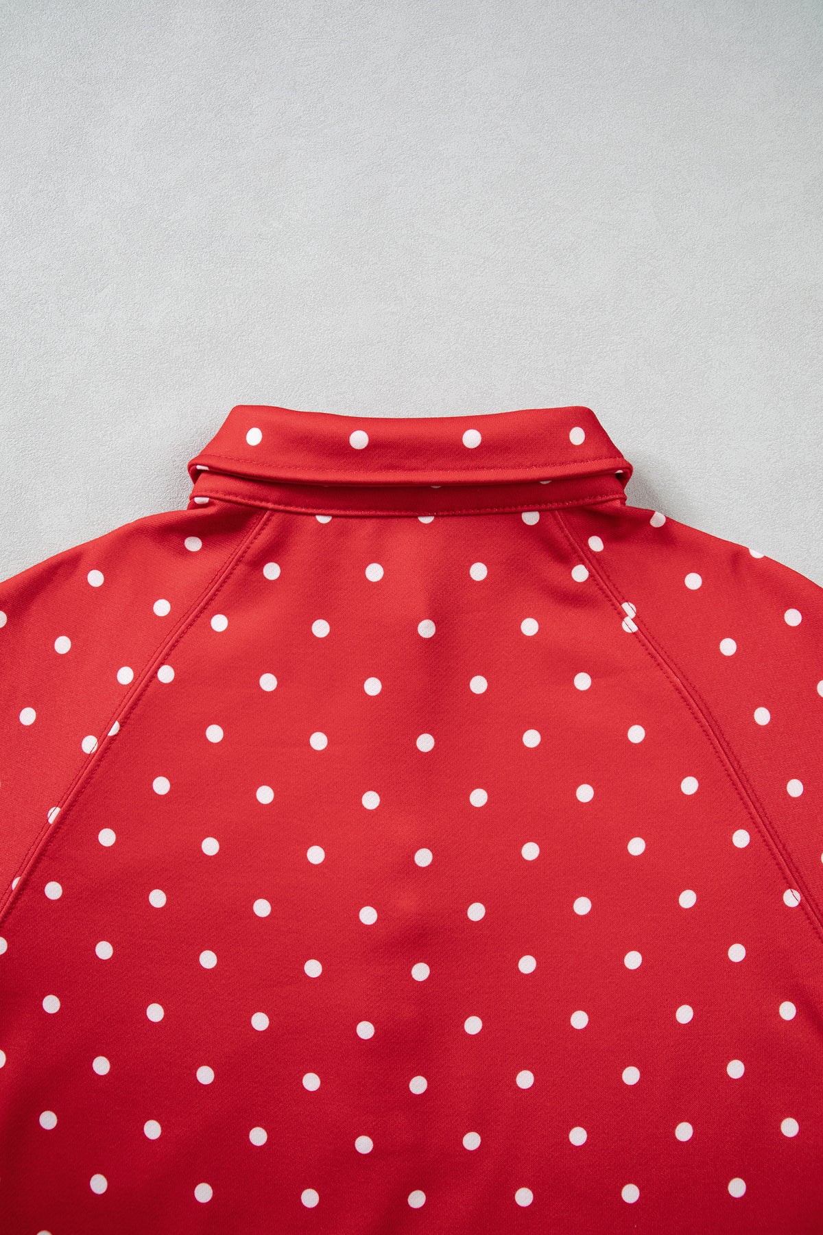 Polka Dot Print Metal Button Collar Casual Pullover