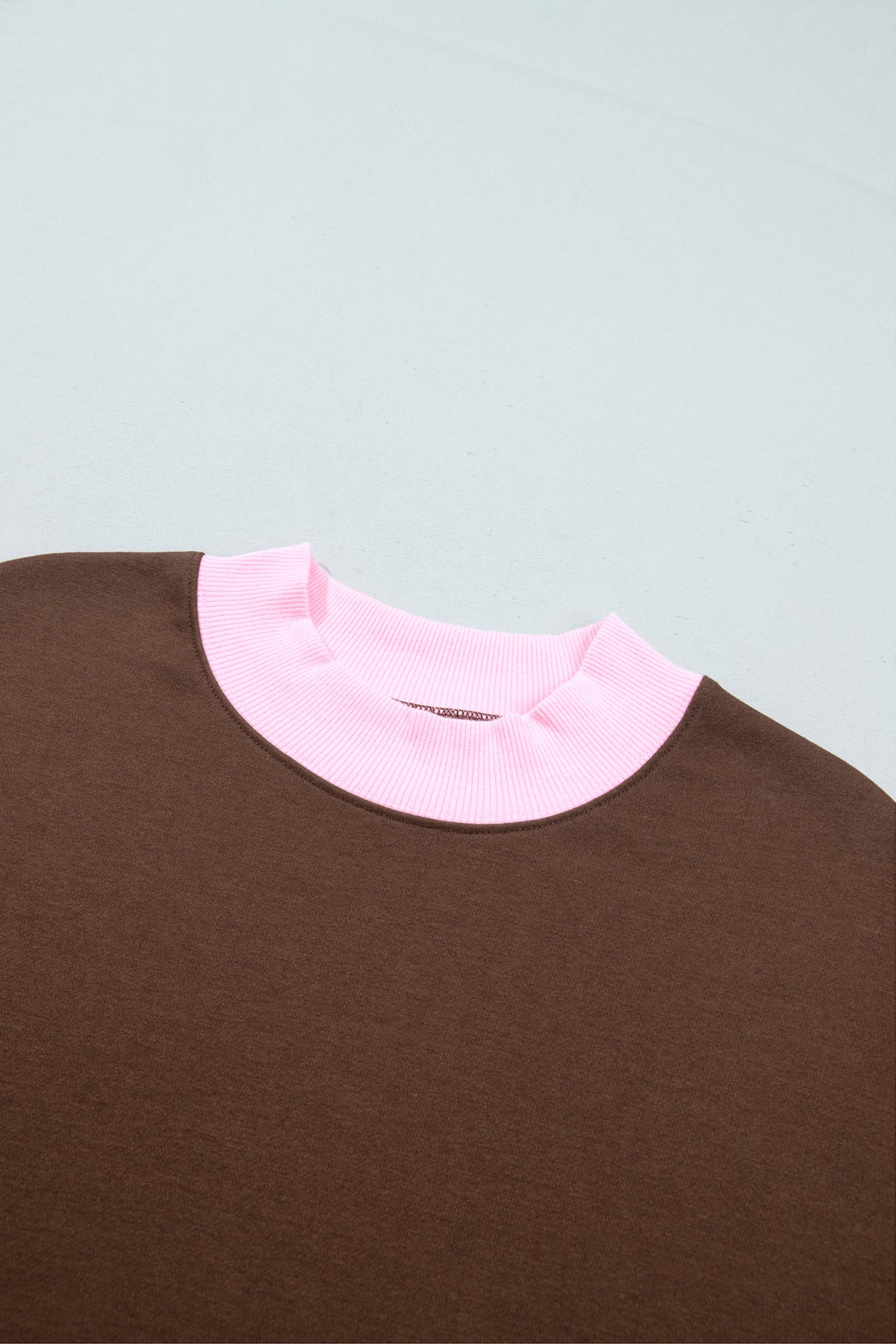 Colorblock Trim Crewneck Long Sleeve Pullover Sweatshirt