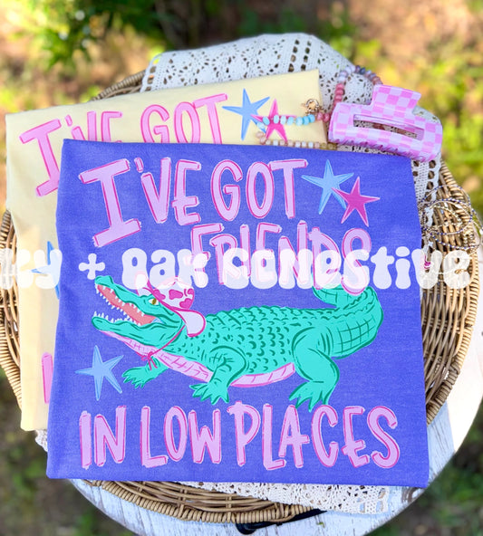 I've Got Friends In Low Places - Gator