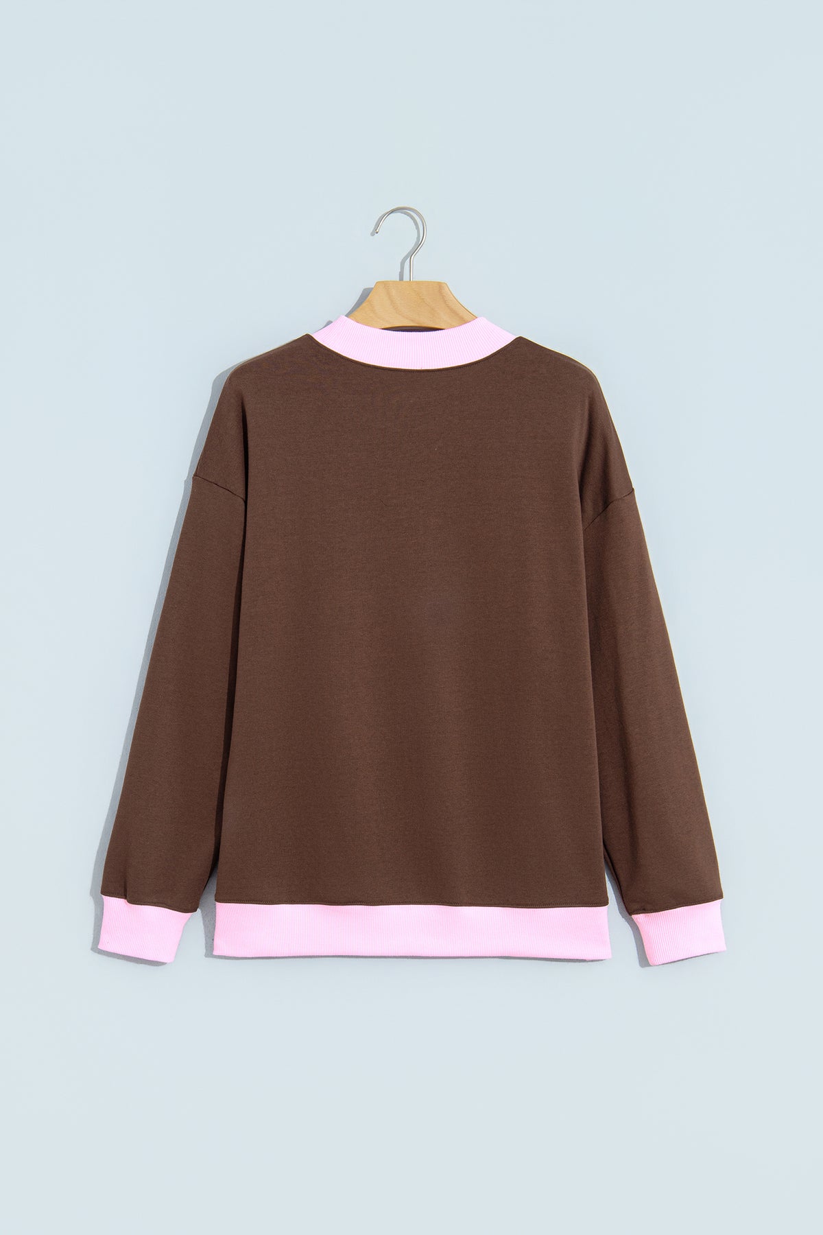 Colorblock Trim Crewneck Long Sleeve Pullover Sweatshirt