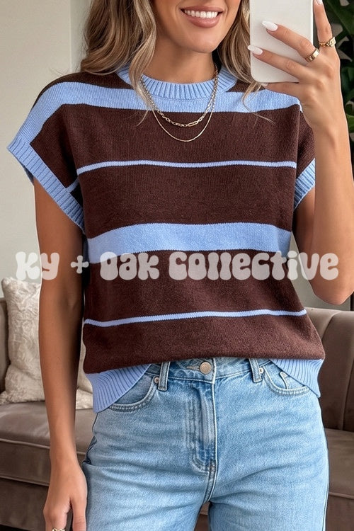 Blue + Brown Stripe Short Sleeve Sweater Top