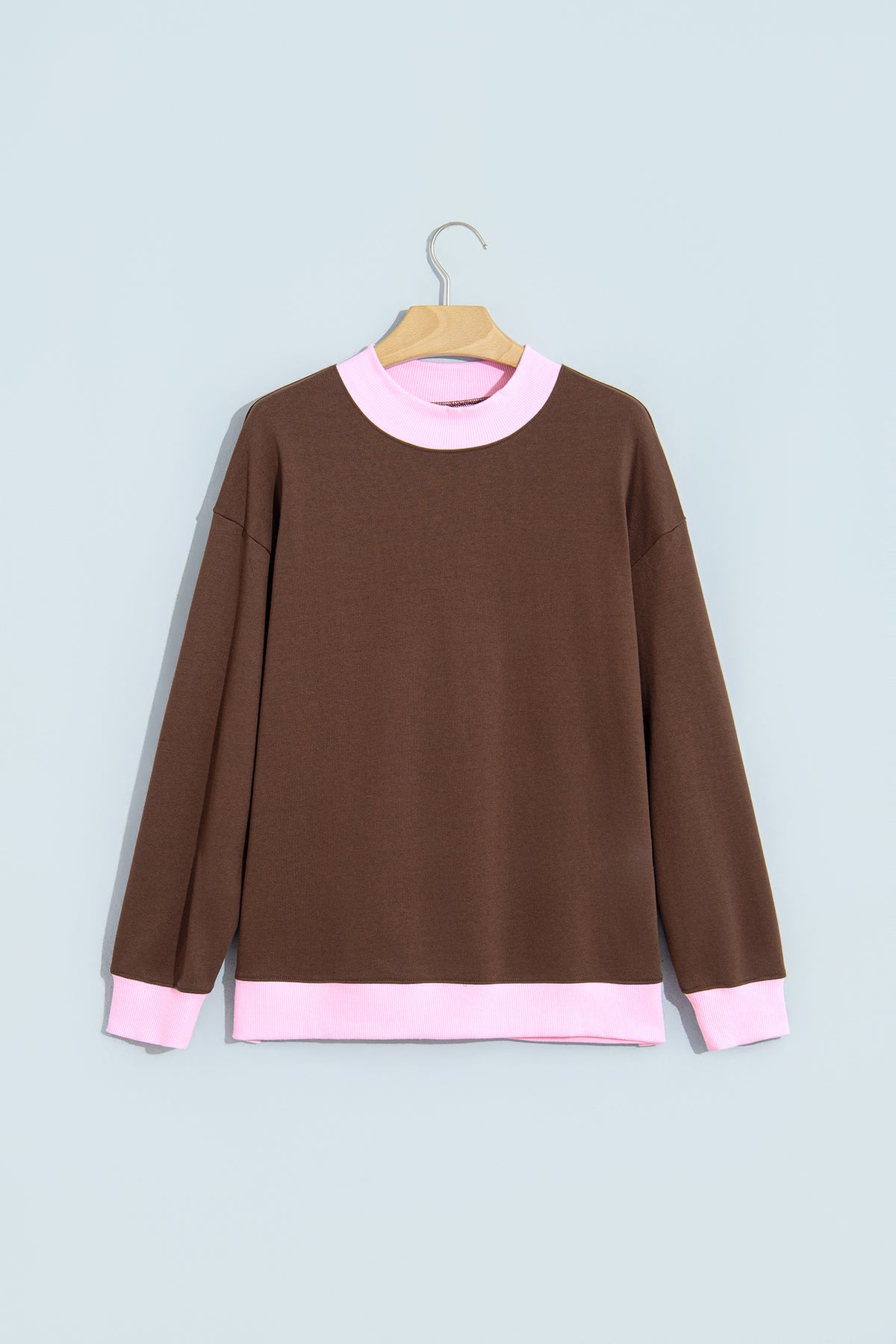 Colorblock Trim Crewneck Long Sleeve Pullover Sweatshirt