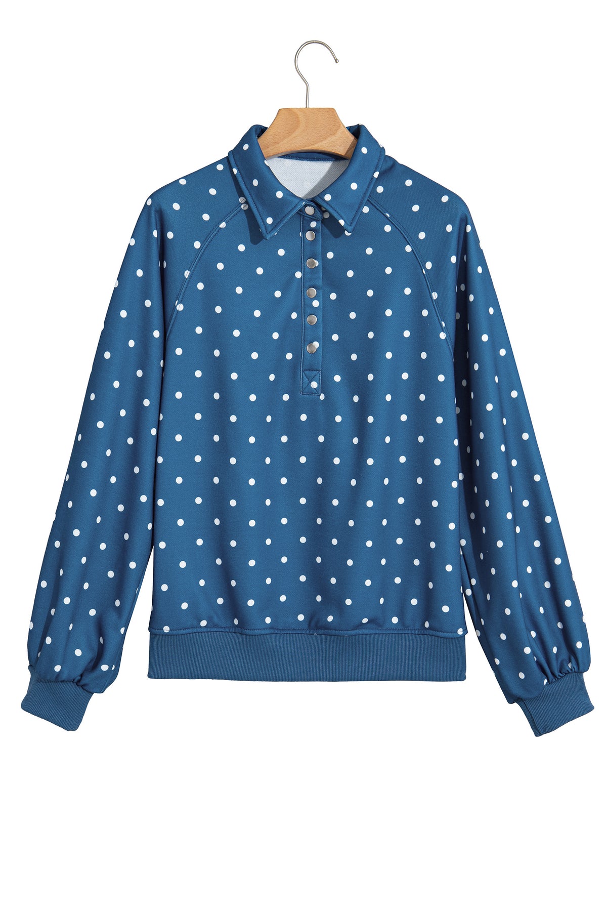 Polka Dot Print Metal Button Collar Casual Pullover
