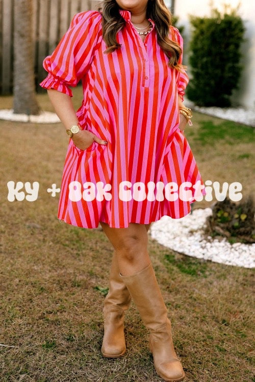 Rose Stripe Frilled Collar Button Neck Short Sleeve Mini Dress