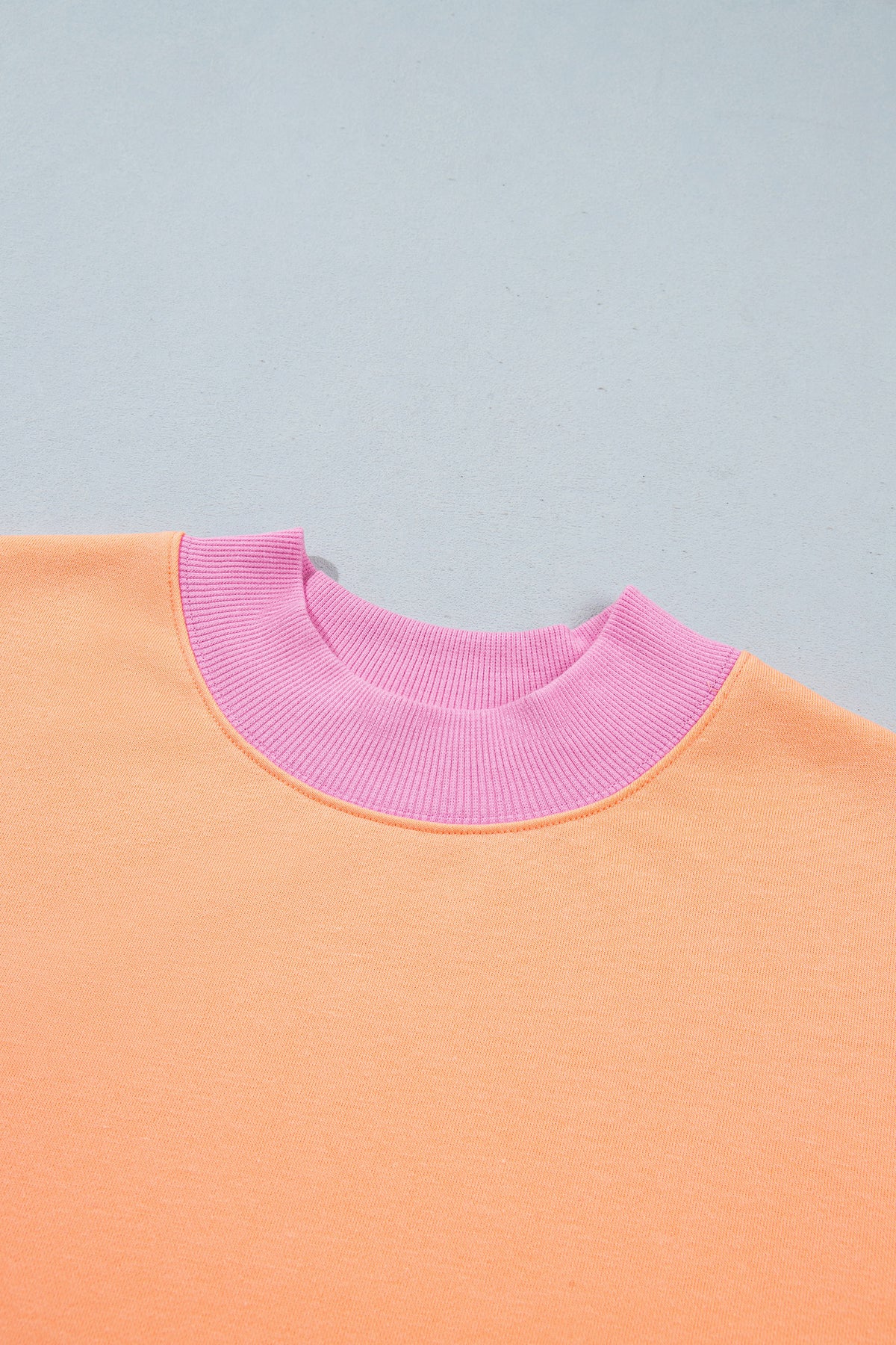 Colorblock Trim Crewneck Long Sleeve Pullover Sweatshirt