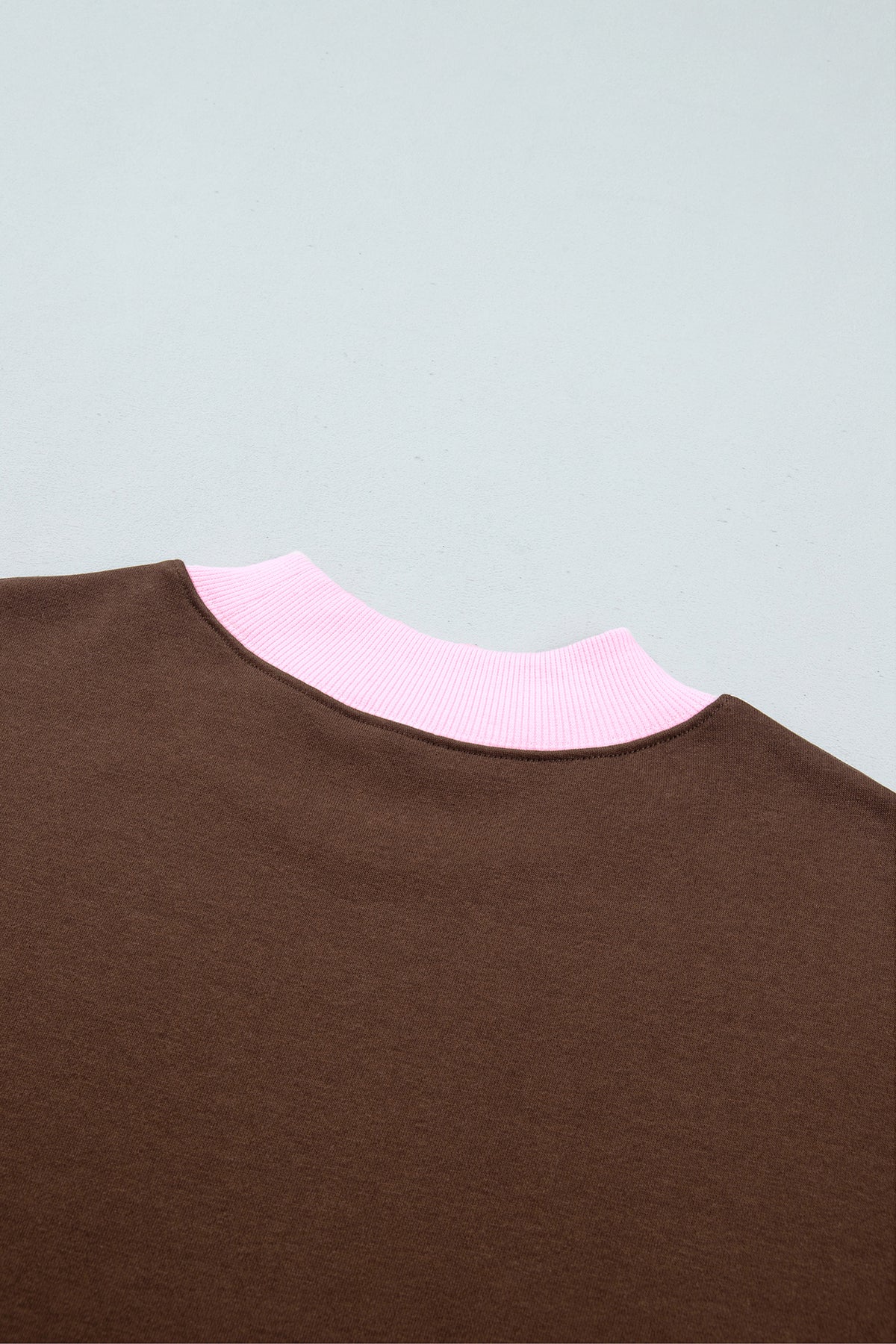 Colorblock Trim Crewneck Long Sleeve Pullover Sweatshirt
