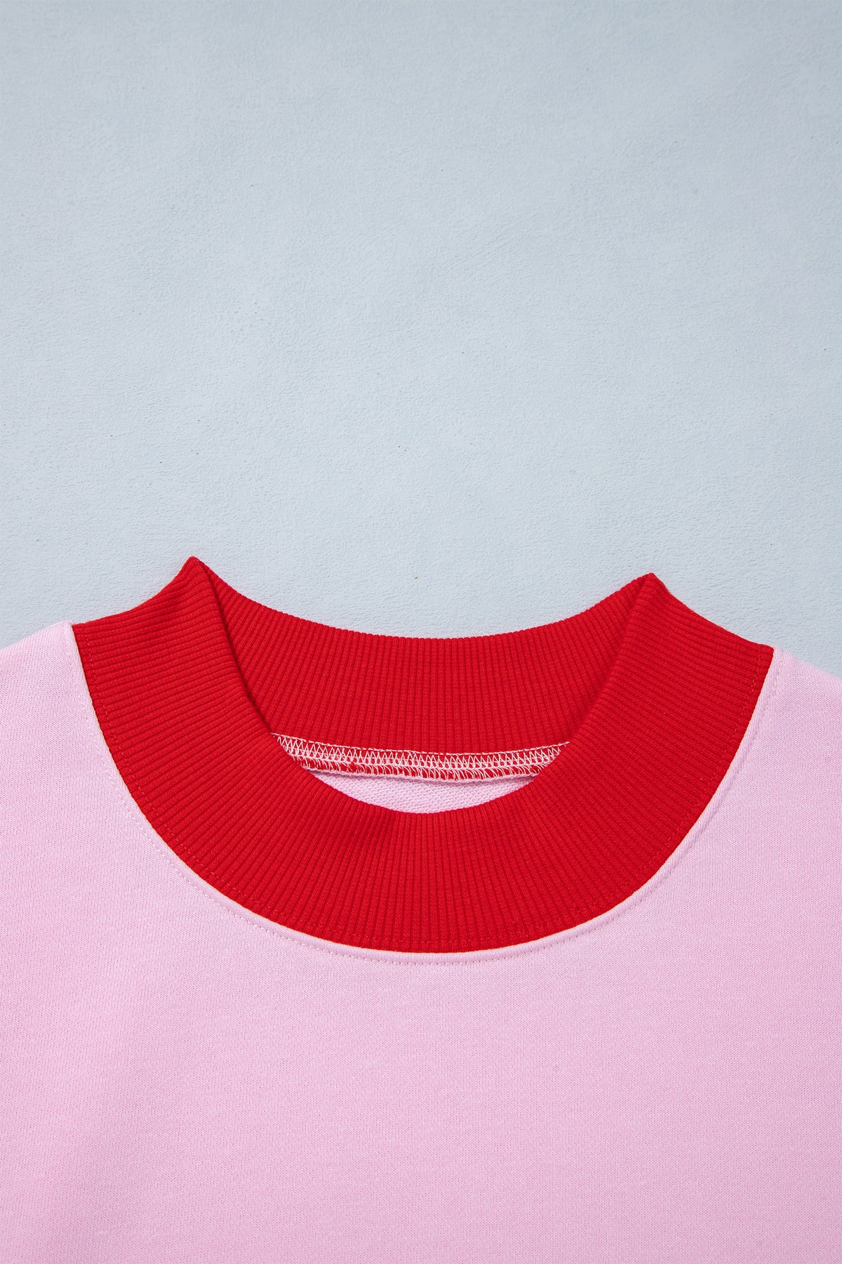 Colorblock Trim Crewneck Long Sleeve Pullover Sweatshirt