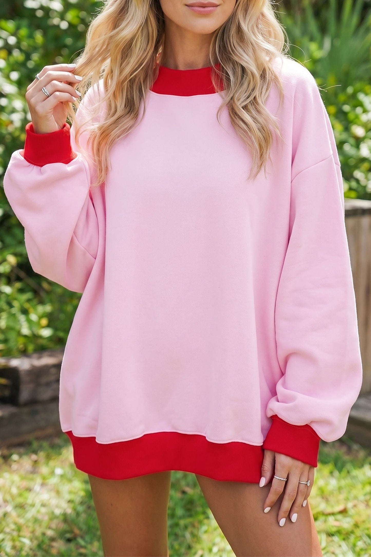 Colorblock Trim Crewneck Long Sleeve Pullover Sweatshirt
