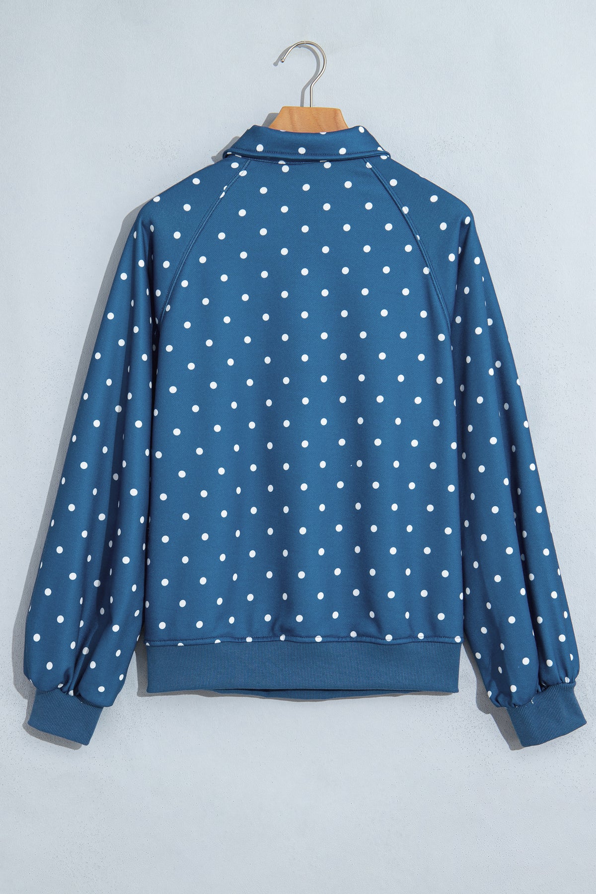 Polka Dot Print Metal Button Collar Casual Pullover