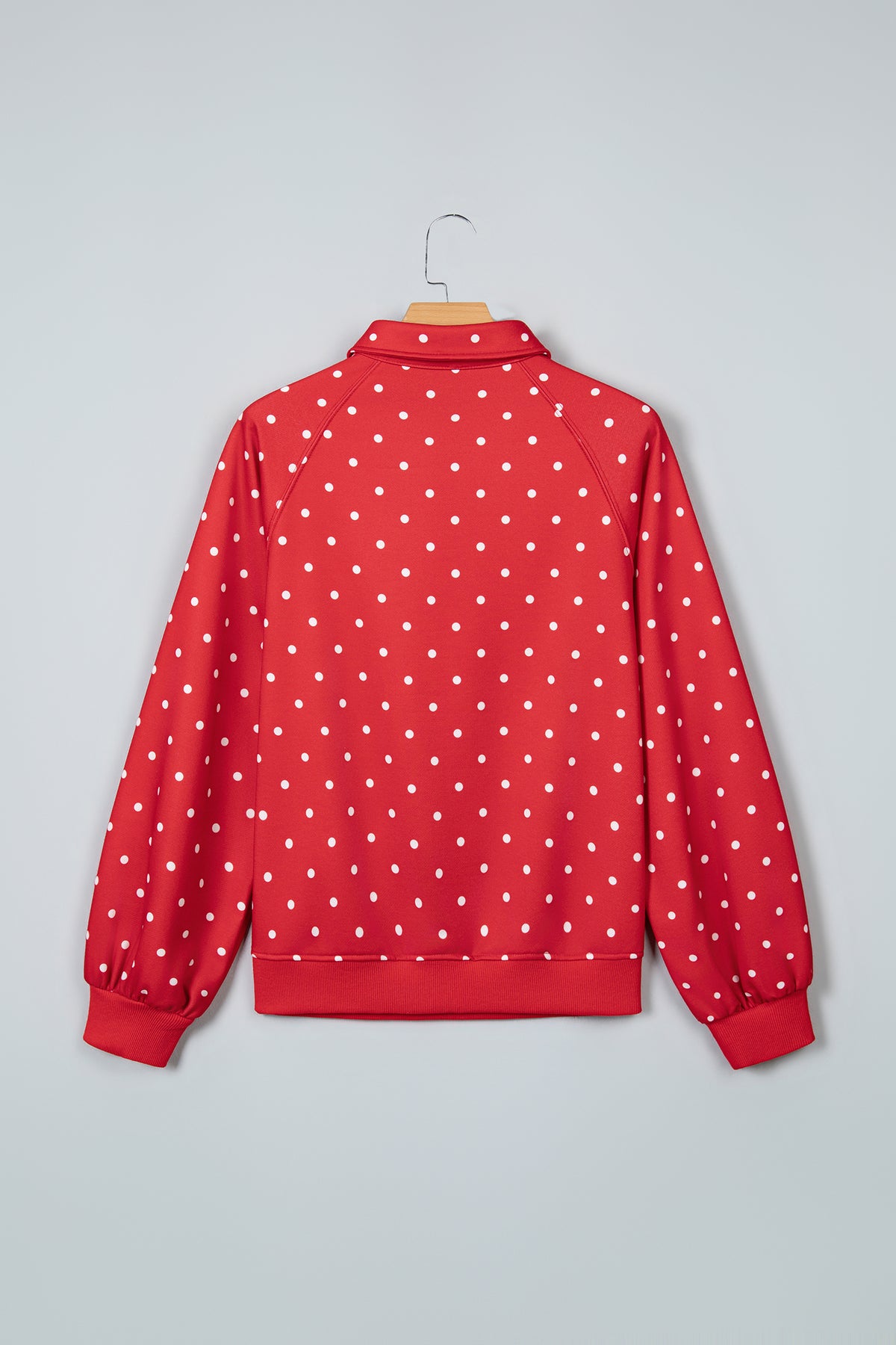 Polka Dot Print Metal Button Collar Casual Pullover