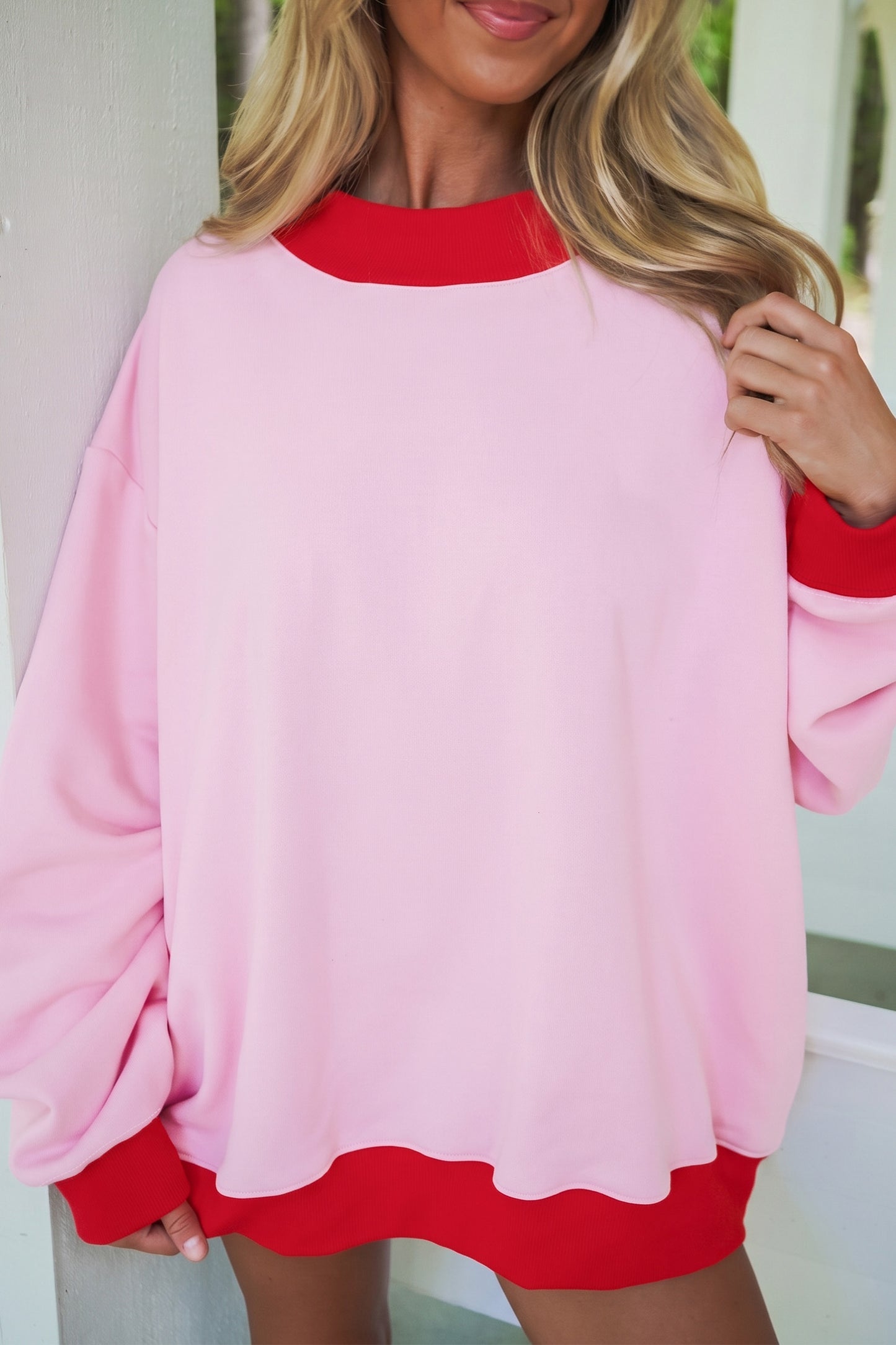 Colorblock Trim Crewneck Long Sleeve Pullover Sweatshirt