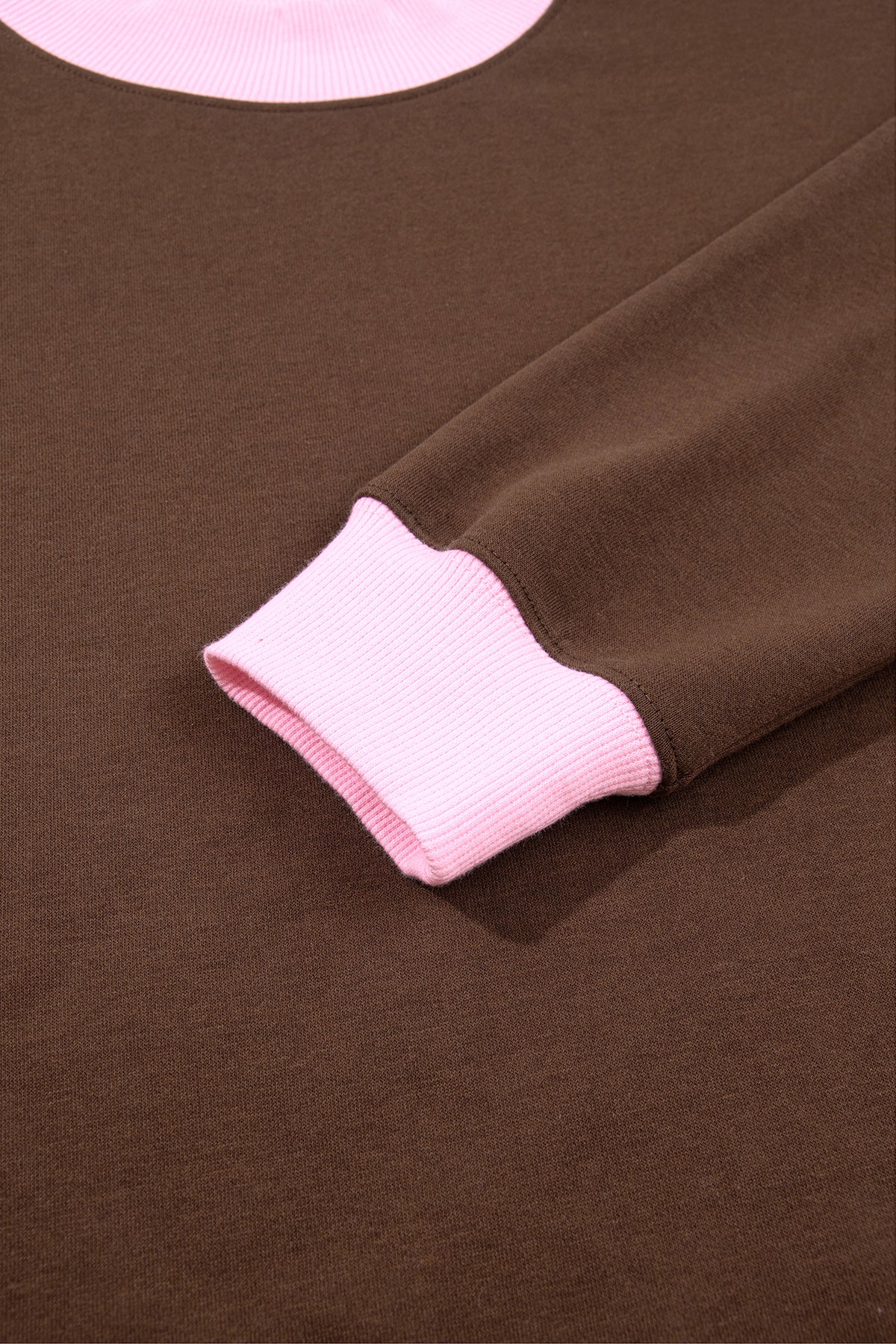 Colorblock Trim Crewneck Long Sleeve Pullover Sweatshirt