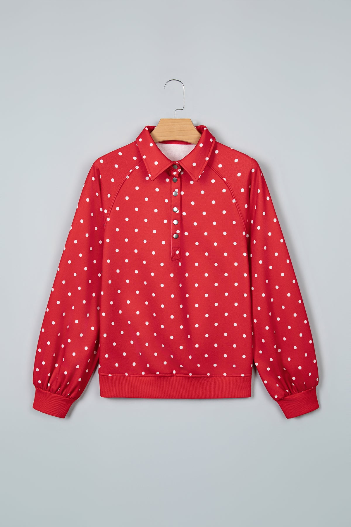 Polka Dot Print Metal Button Collar Casual Pullover
