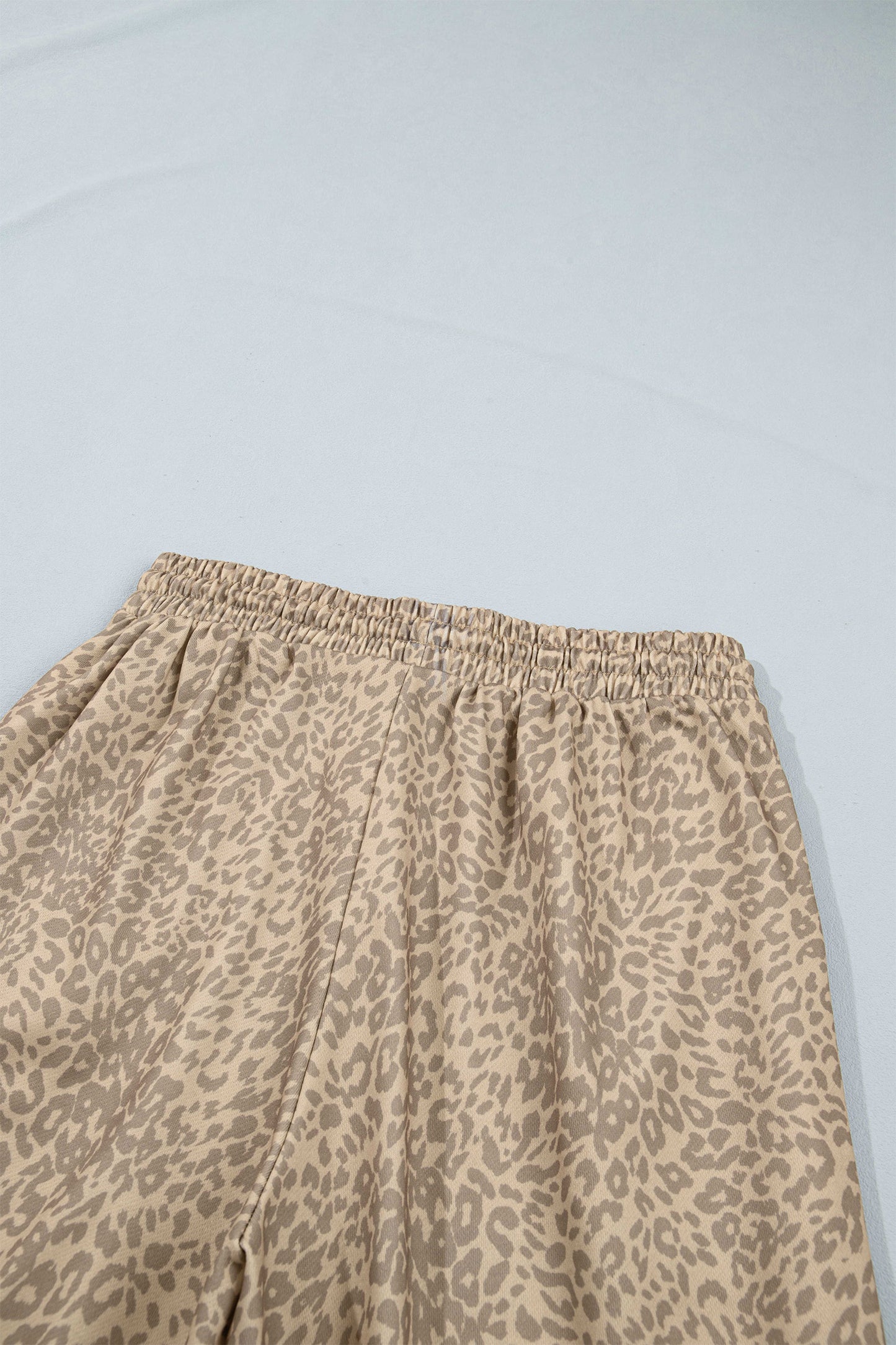 Khaki Leopard Star Print Long Sleeve Loose Casual Two Piece Pants Set