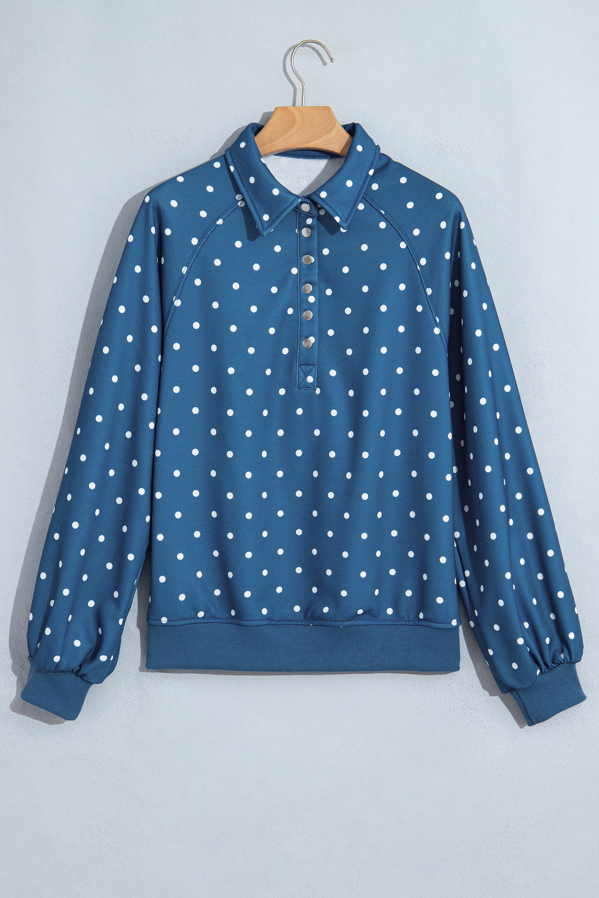 Polka Dot Print Metal Button Collar Casual Pullover